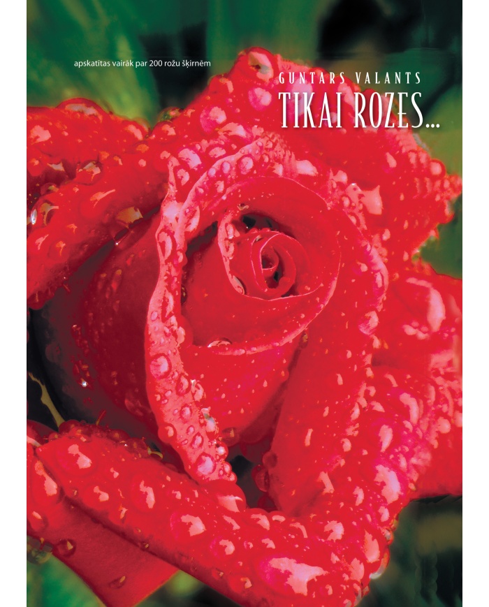 Tikai rozes... Tikai rozes...
