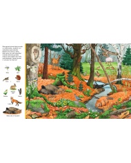 Mūsu mežā. Meklē lietas!