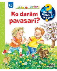 Ko darām pavasarī? Ko darām pavasarī?