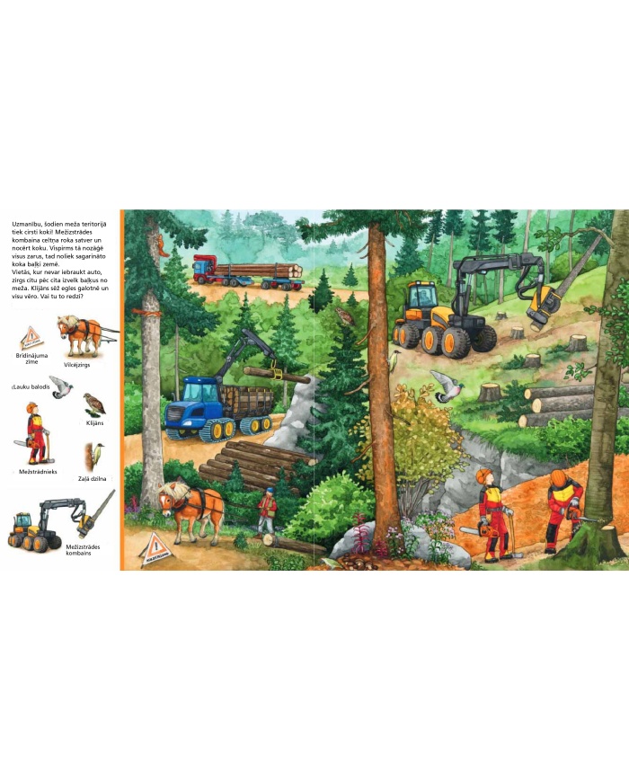 Mūsu mežā. Meklē lietas!