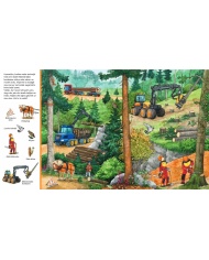 Mūsu mežā. Meklē lietas!