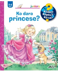 Ko dara princese Ko dara princese