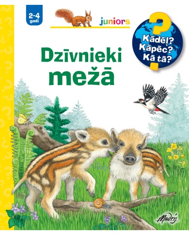Dzīvnieki mežā. Kādēļ? Kāpēc? Kā tā? Dzīvnieki mežā. Kādēļ? Kāpēc? Kā tā?