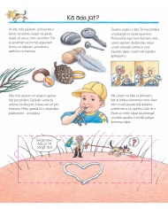 Eksperimentē ar savam 5 maņām! Kādēļ? Kāpēc? Kā tā? Eksperimentē ar savam 5 maņām! Kādēļ? Kāpēc? Kā tā?