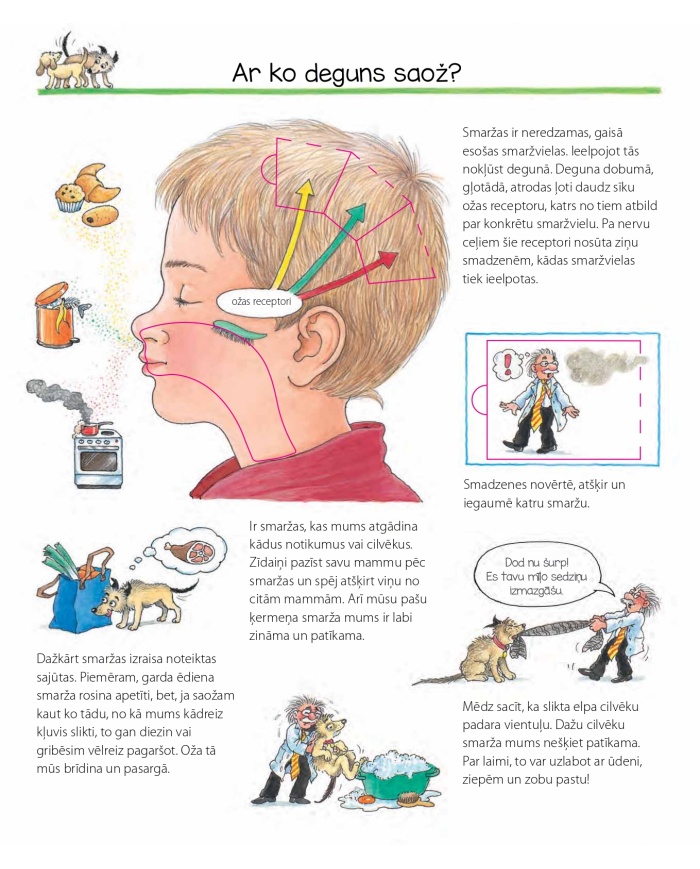 Eksperimentē ar savam 5 maņām! Kādēļ? Kāpēc? Kā tā? Eksperimentē ar savam 5 maņām! Kādēļ? Kāpēc? Kā tā?