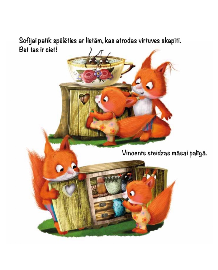 Brāļu un māsu grāmata. Mans sapratnes projekts Brāļu un māsu grāmata. Mans sapratnes projekts