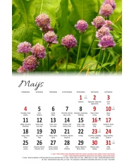 Kalendārs Virtuvē 2026