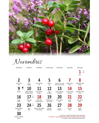 Kalendārs Virtuvē 2026