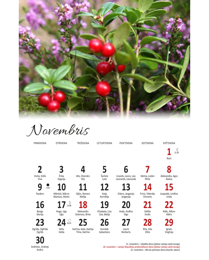 Kalendārs Virtuvē 2026