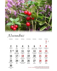 Kalendārs Virtuvē 2026