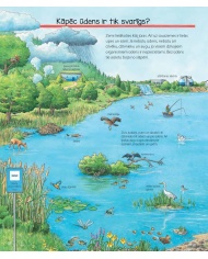 Viss par ūdeni. Kādēļ? Kāpēc? Kā tā?