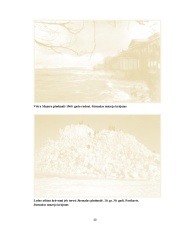 Jūrmalas vasarnīcas, vasarnieki un vasaras dzīve Jūrmalā no 19. gs. līdz 1990. gadam