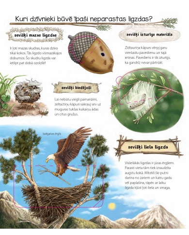 Ko būvē dzīvnieki? Kādēļ? Kāpēc? Kā tā?
