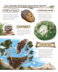 Ko būvē dzīvnieki? Kādēļ? Kāpēc? Kā tā?